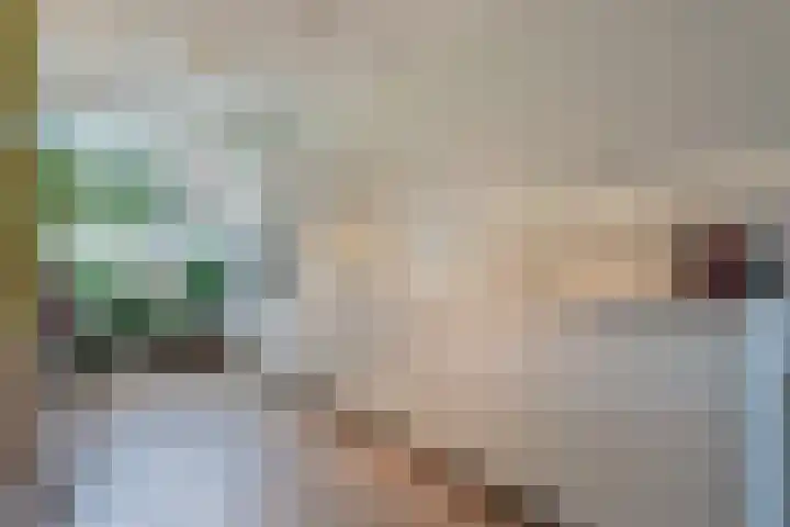 Kleipoelpad 13 Leiden thumbnail 17