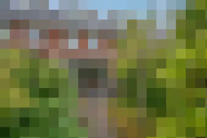 Kleipoelpad 13 Leiden thumbnail 39