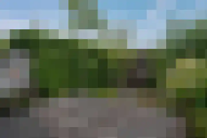 Kleipoelpad 13 Leiden thumbnail 41