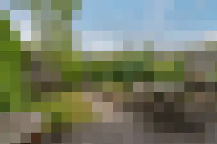 Kleipoelpad 13 Leiden thumbnail 42