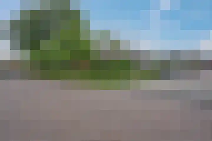 Kleipoelpad 13 Leiden thumbnail 46