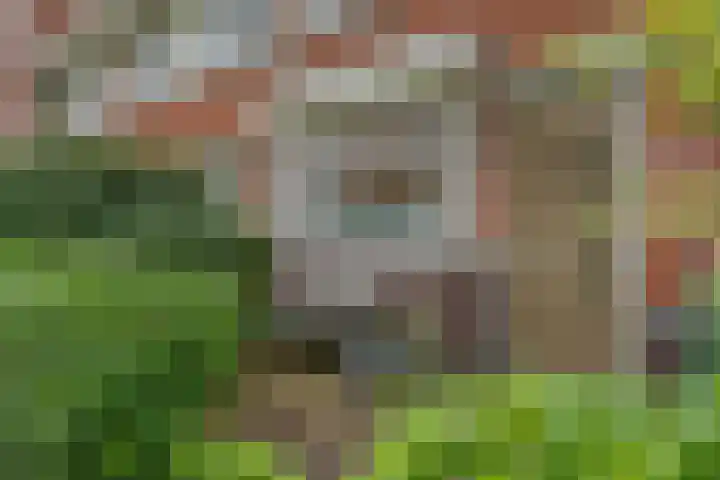 Kleipoelpad 13 Leiden thumbnail 5