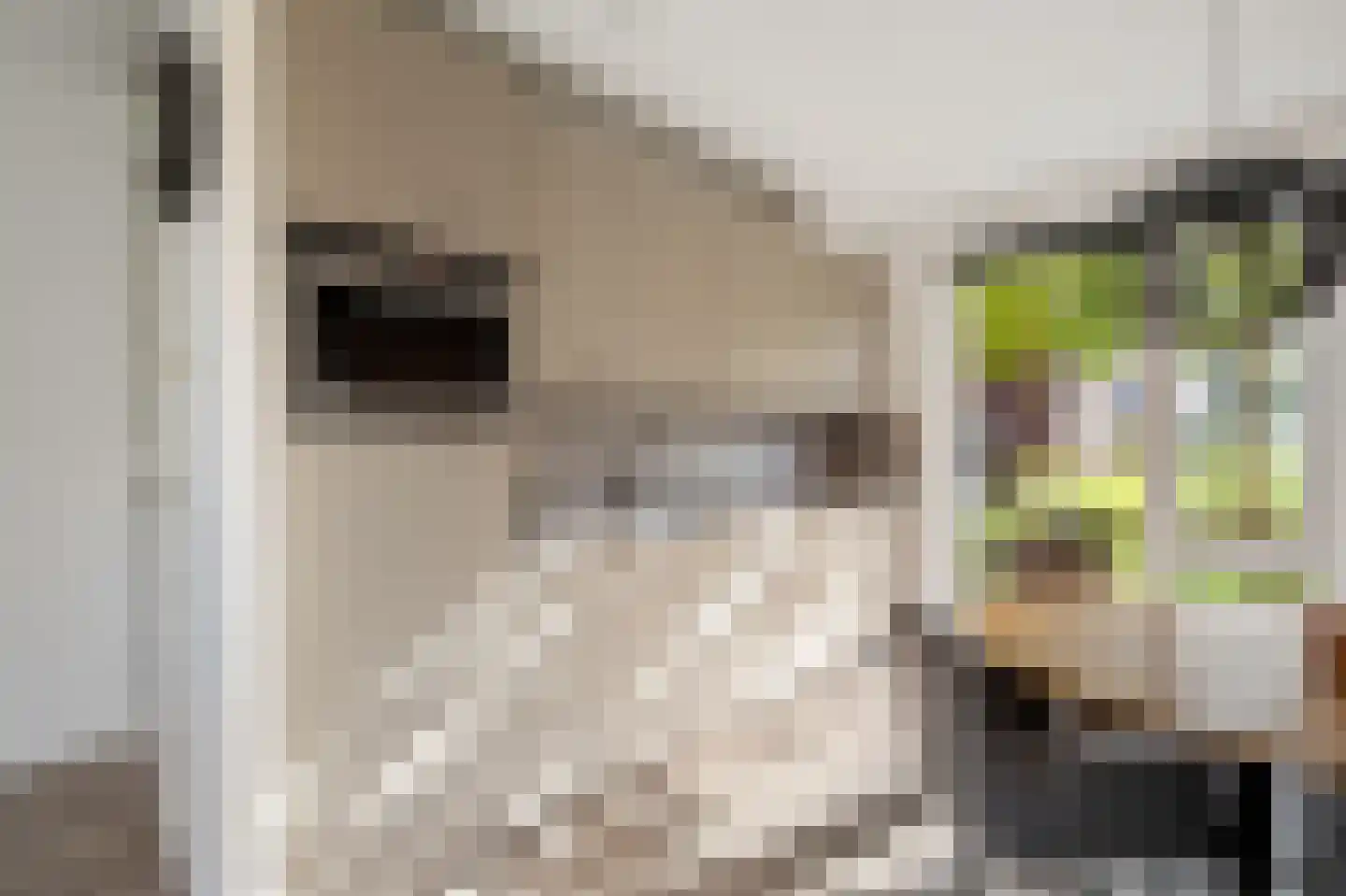 Kleiput 22 Kampen thumbnail 16