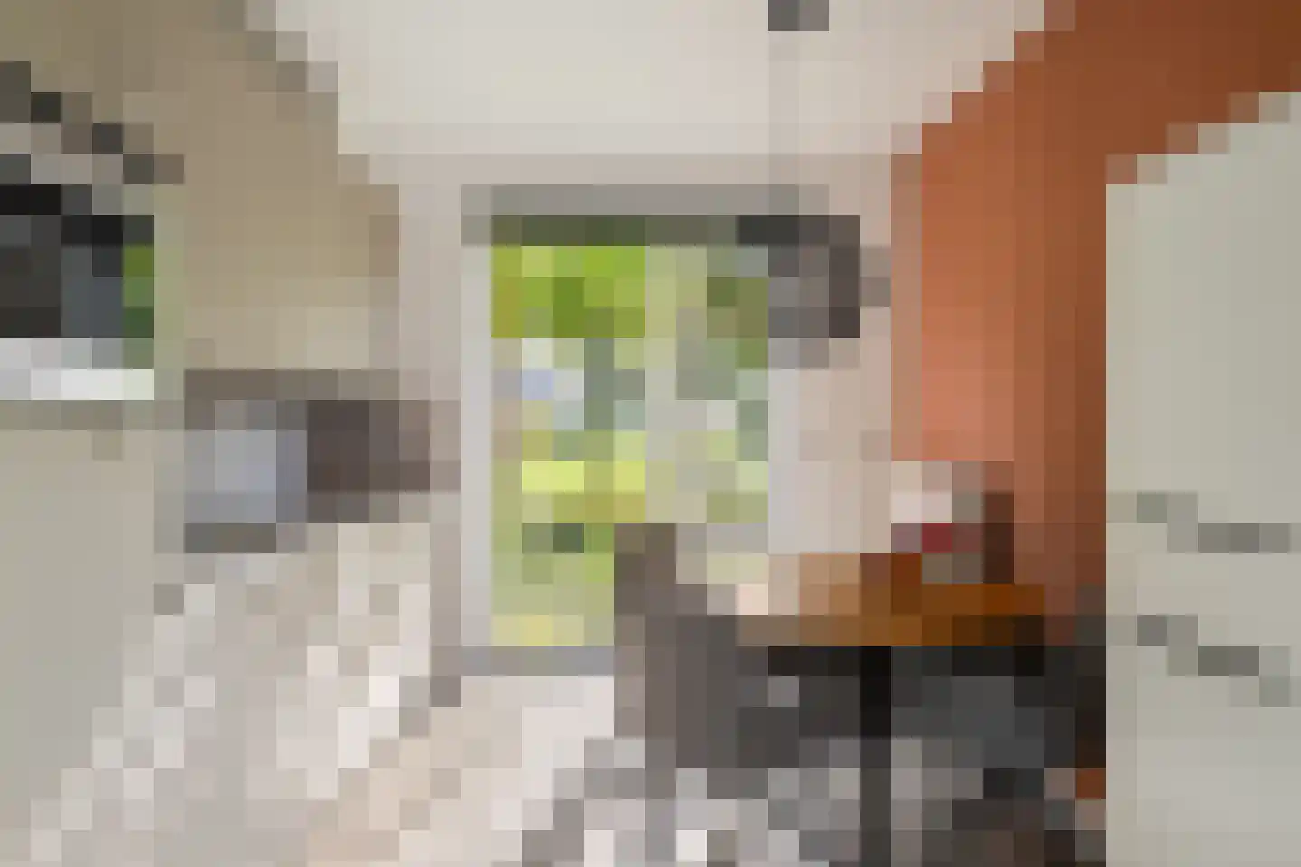 Kleiput 22 Kampen thumbnail 17