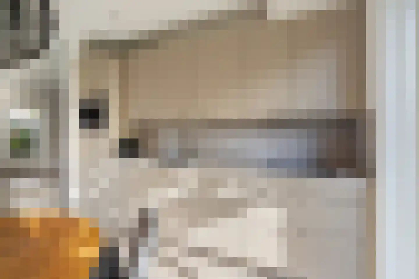 Kleiput 22 Kampen thumbnail 18