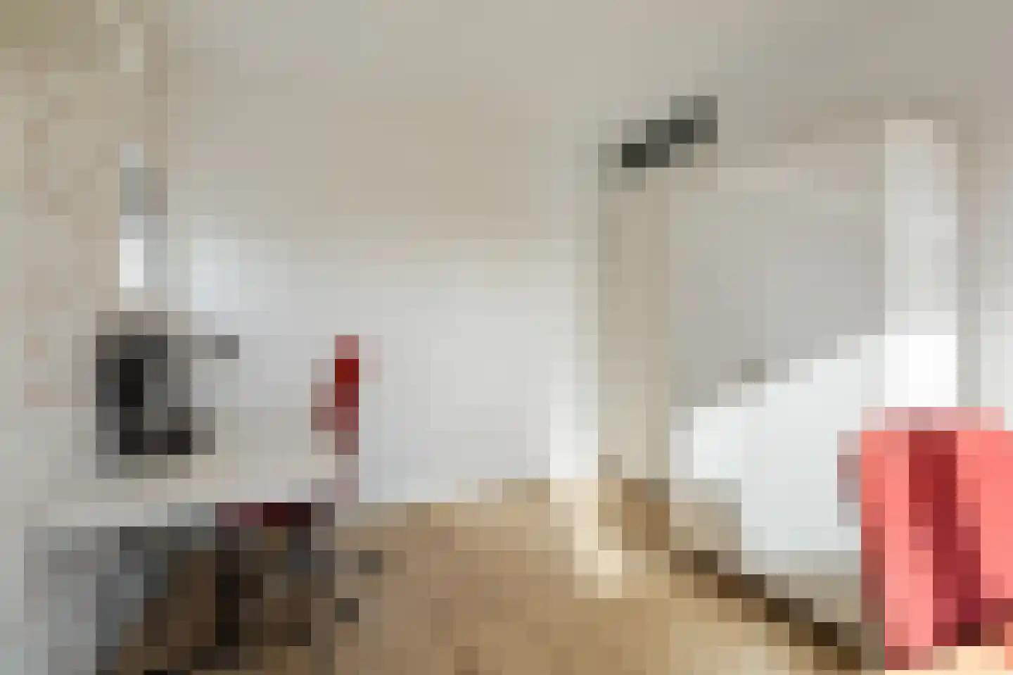 Kleiput 22 Kampen thumbnail 29
