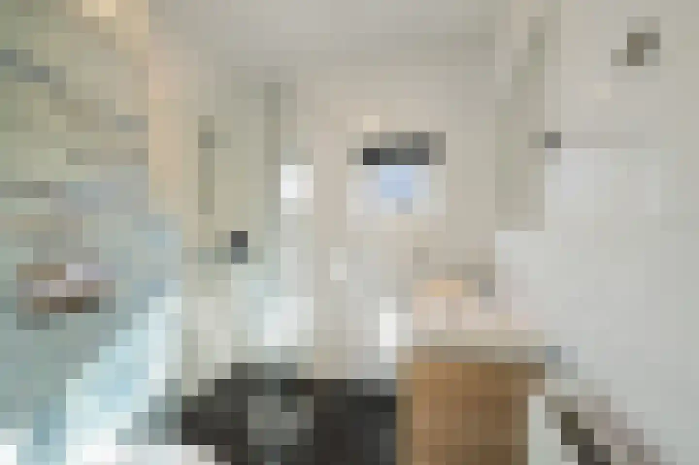 Kleiput 22 Kampen thumbnail 31