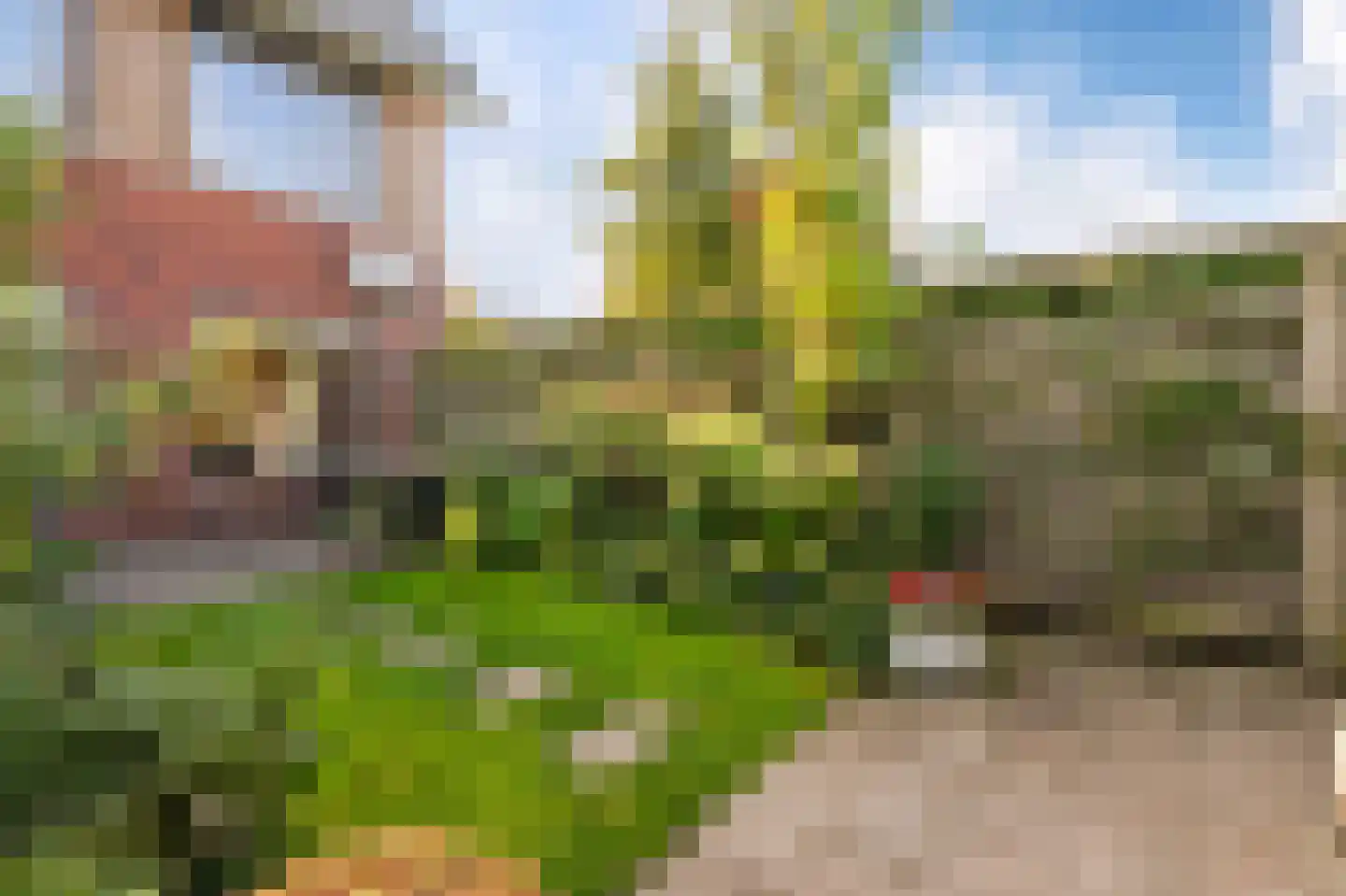 Kleiput 22 Kampen thumbnail 43