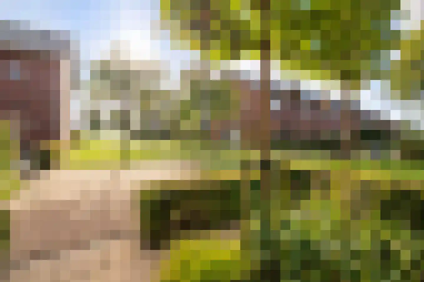 Kleiput 22 Kampen thumbnail 51