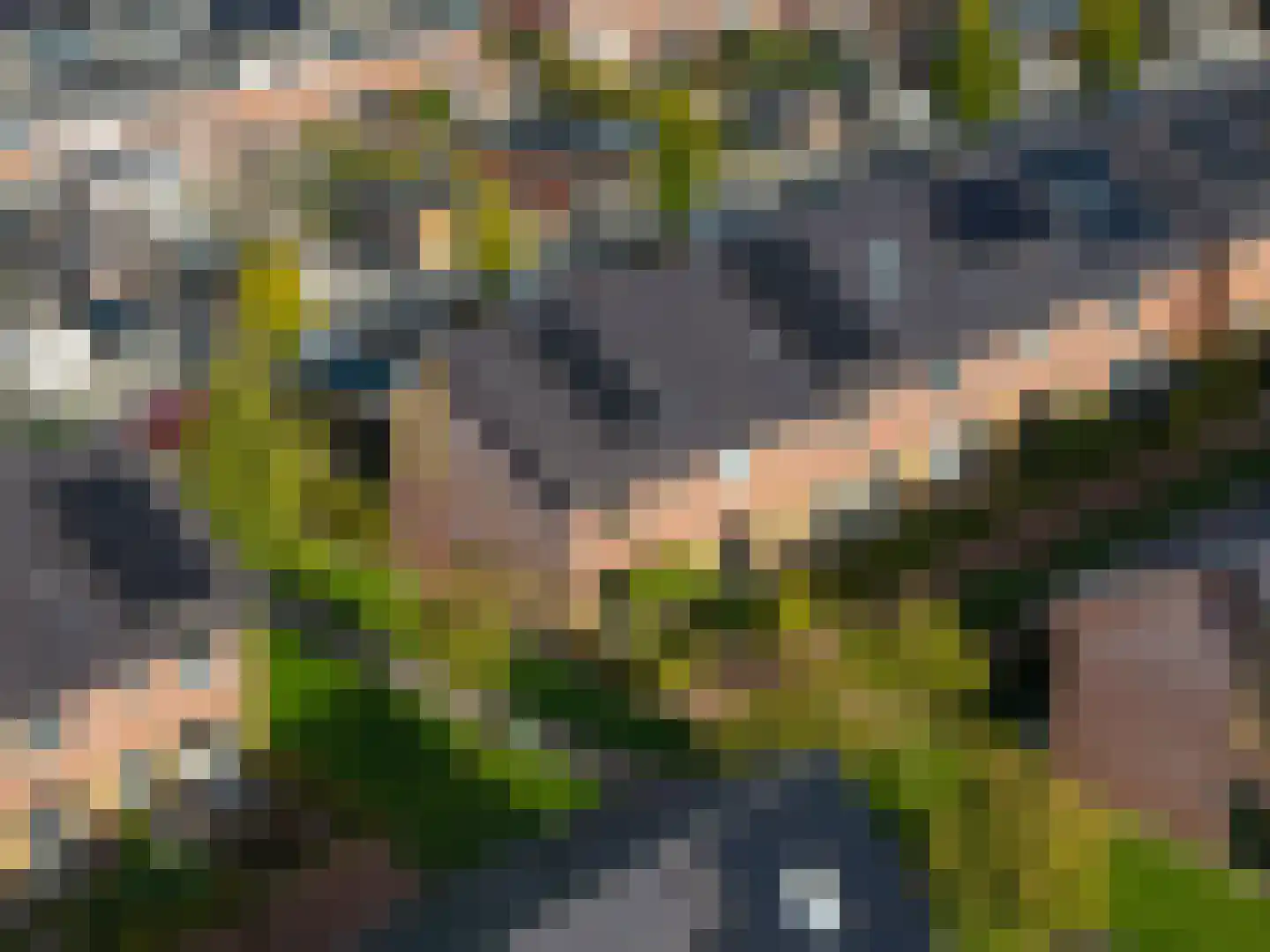 Kleiput 22 Kampen thumbnail 54