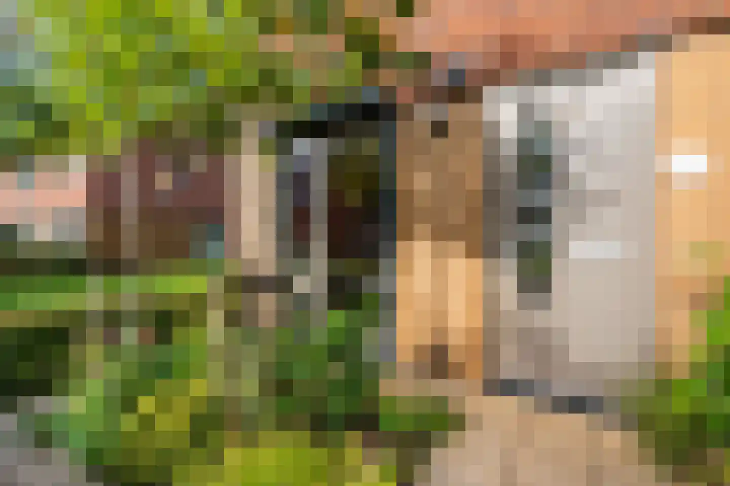 Kleiput 22 Kampen thumbnail 8