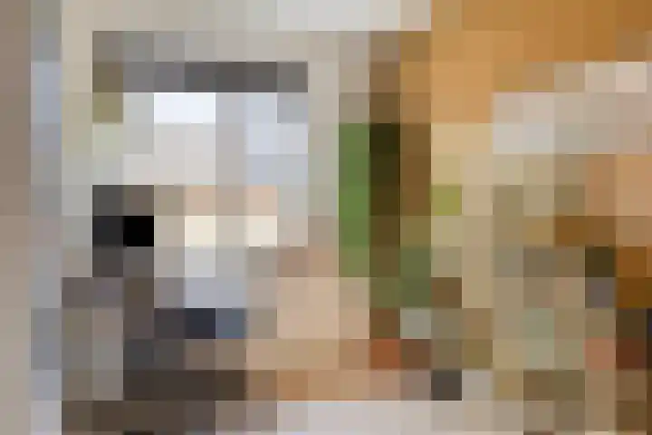 Kleiput 5 Kampen thumbnail 15