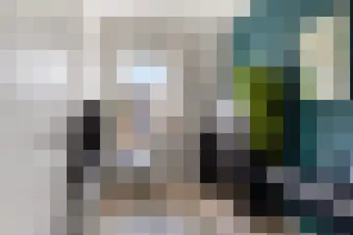 Kleiput 5 Kampen thumbnail 16