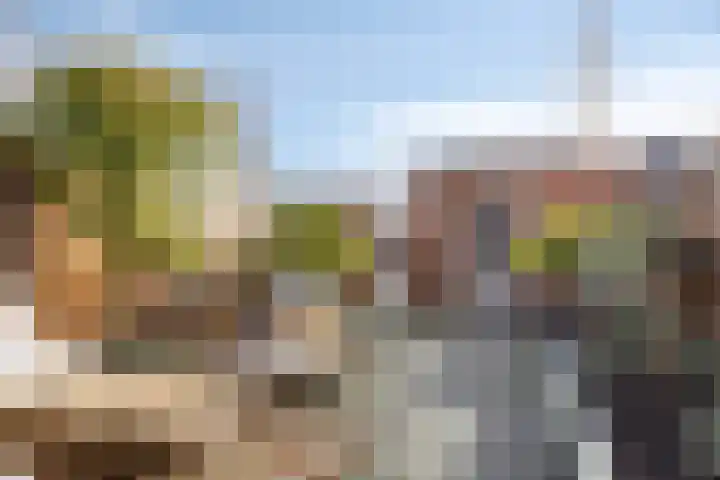 Kleiput 5 Kampen thumbnail 22