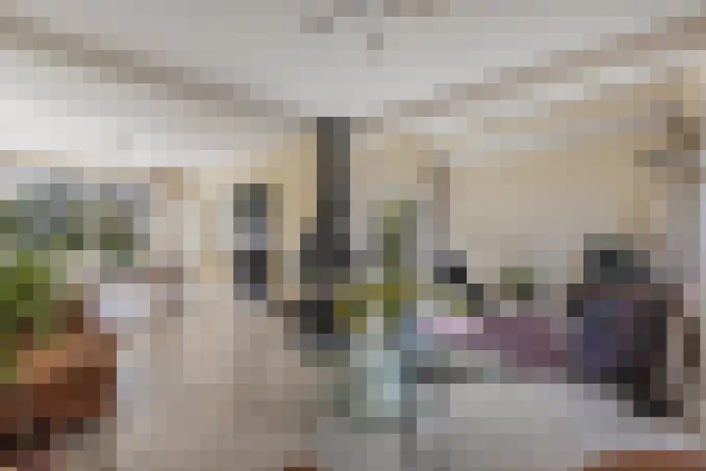Kleis 27 Uitgeest thumbnail 17