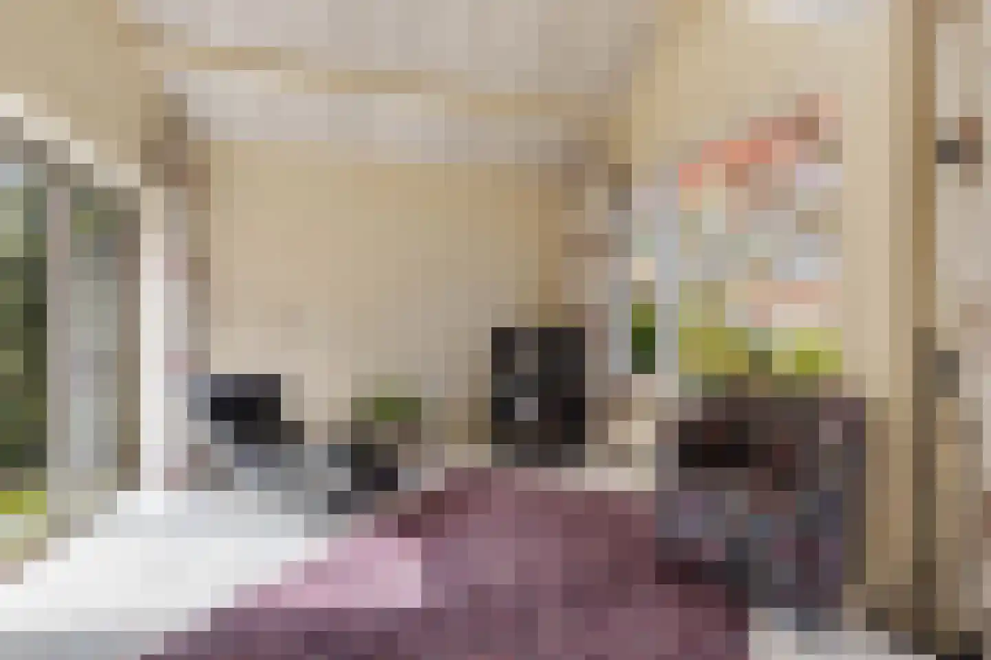 Kleis 27 Uitgeest thumbnail 18