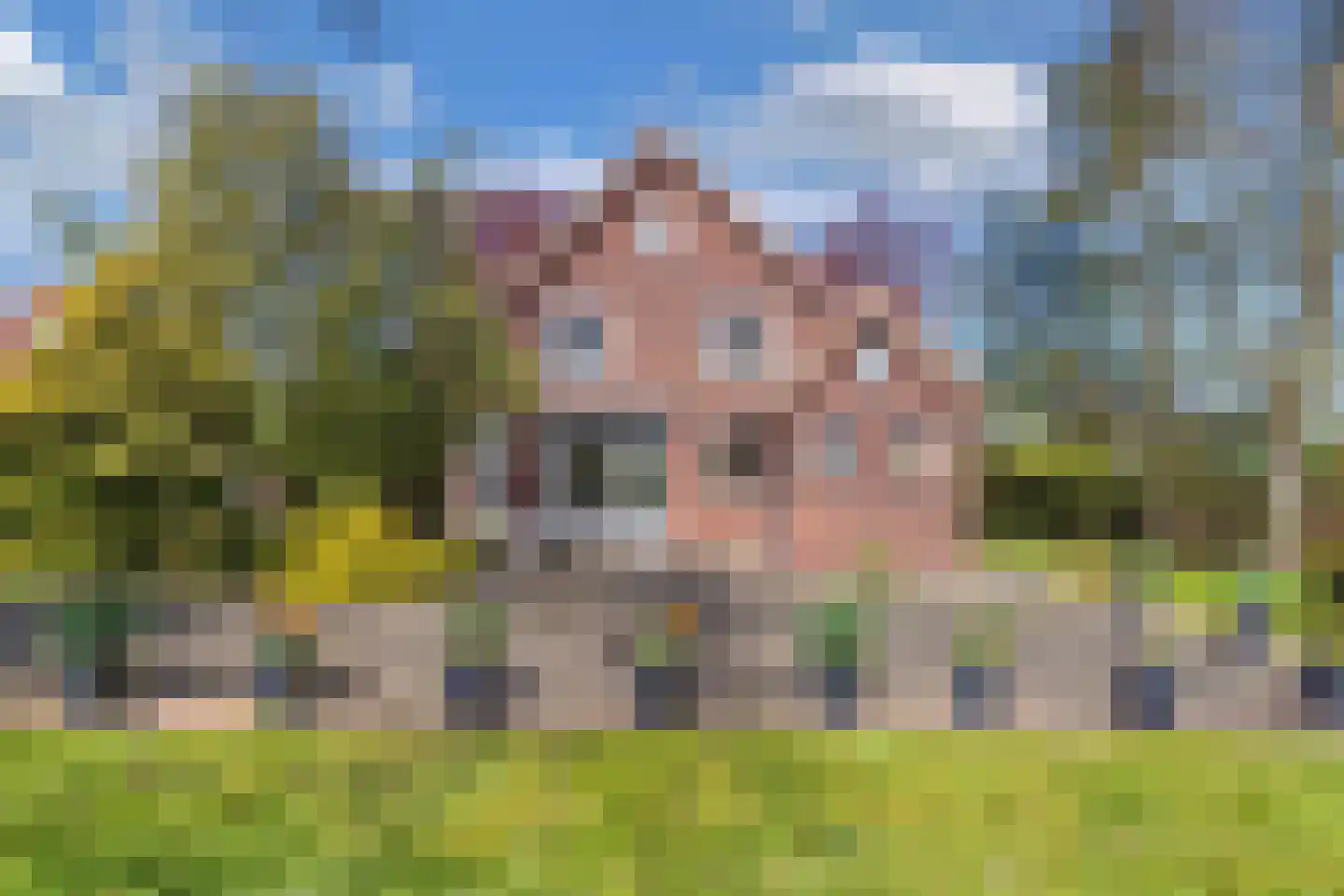 Kleis 27 Uitgeest thumbnail 52