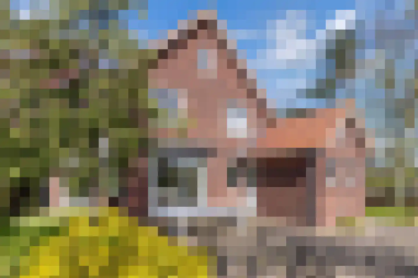 Kleis 27 Uitgeest thumbnail 54