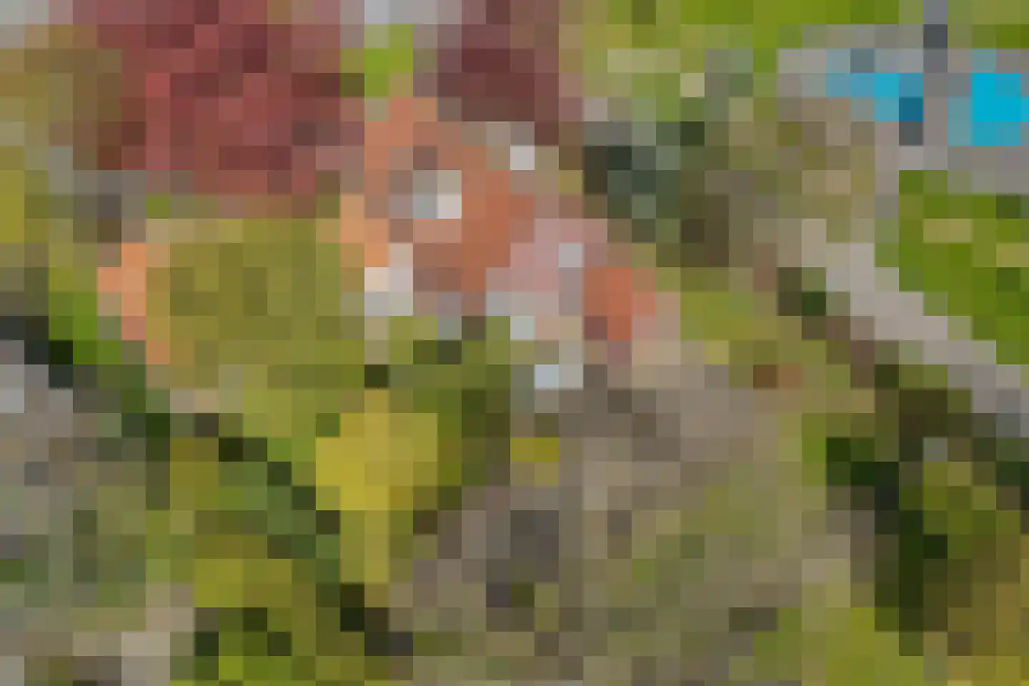 Kleis 27 Uitgeest thumbnail 59