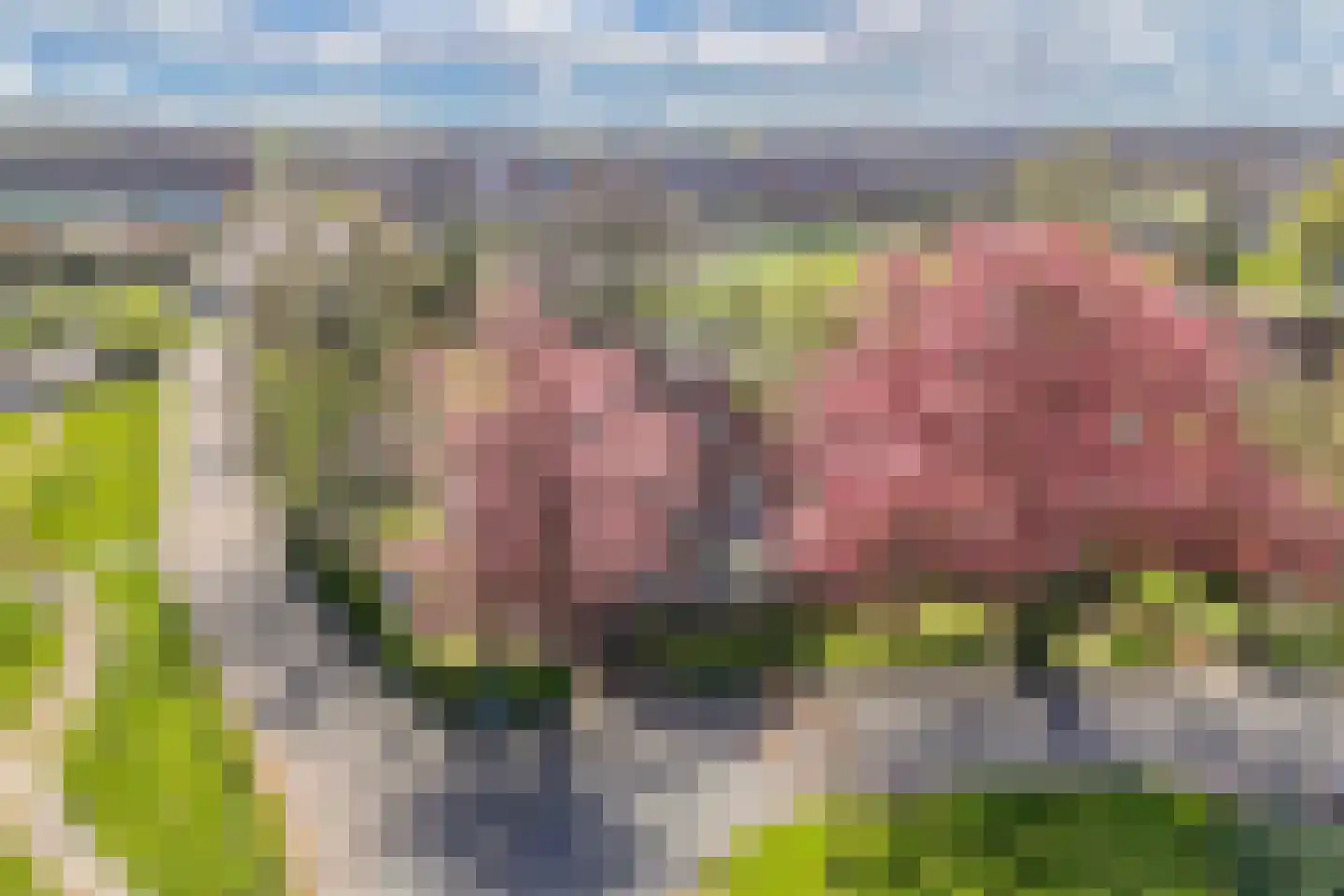 Kleis 27 Uitgeest thumbnail 61