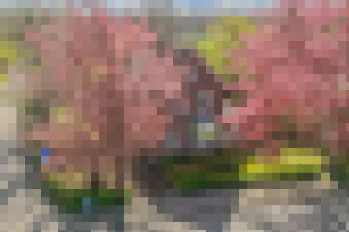 Kleis 27 Uitgeest thumbnail 9