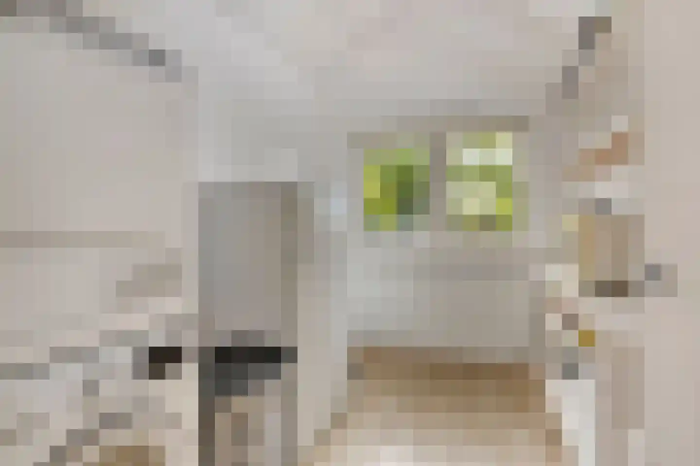 Kleis 45 Uitgeest thumbnail 13