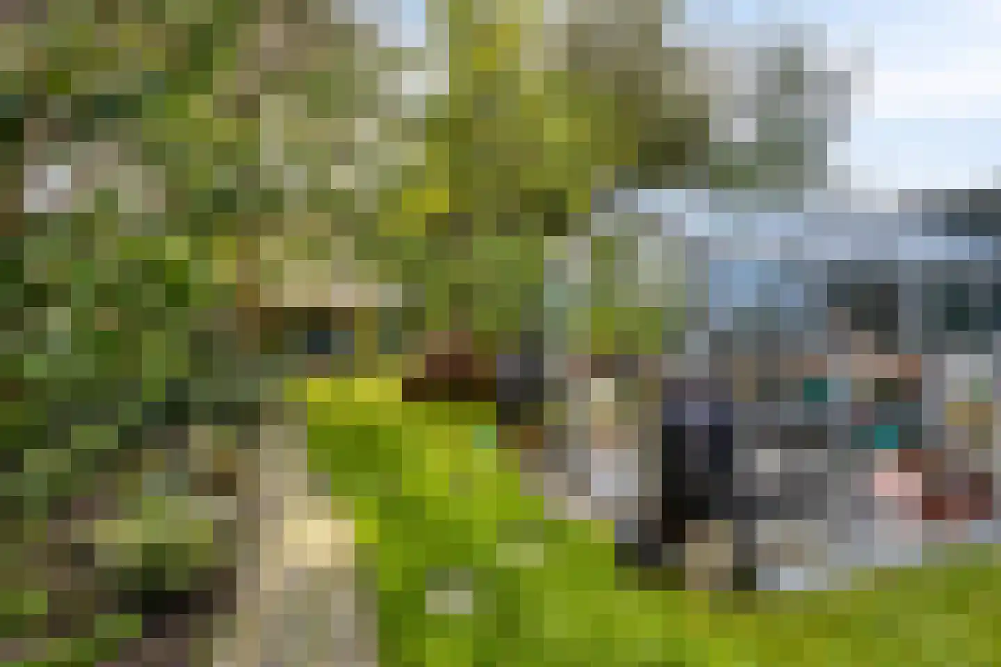 Kleis 45 Uitgeest thumbnail 22