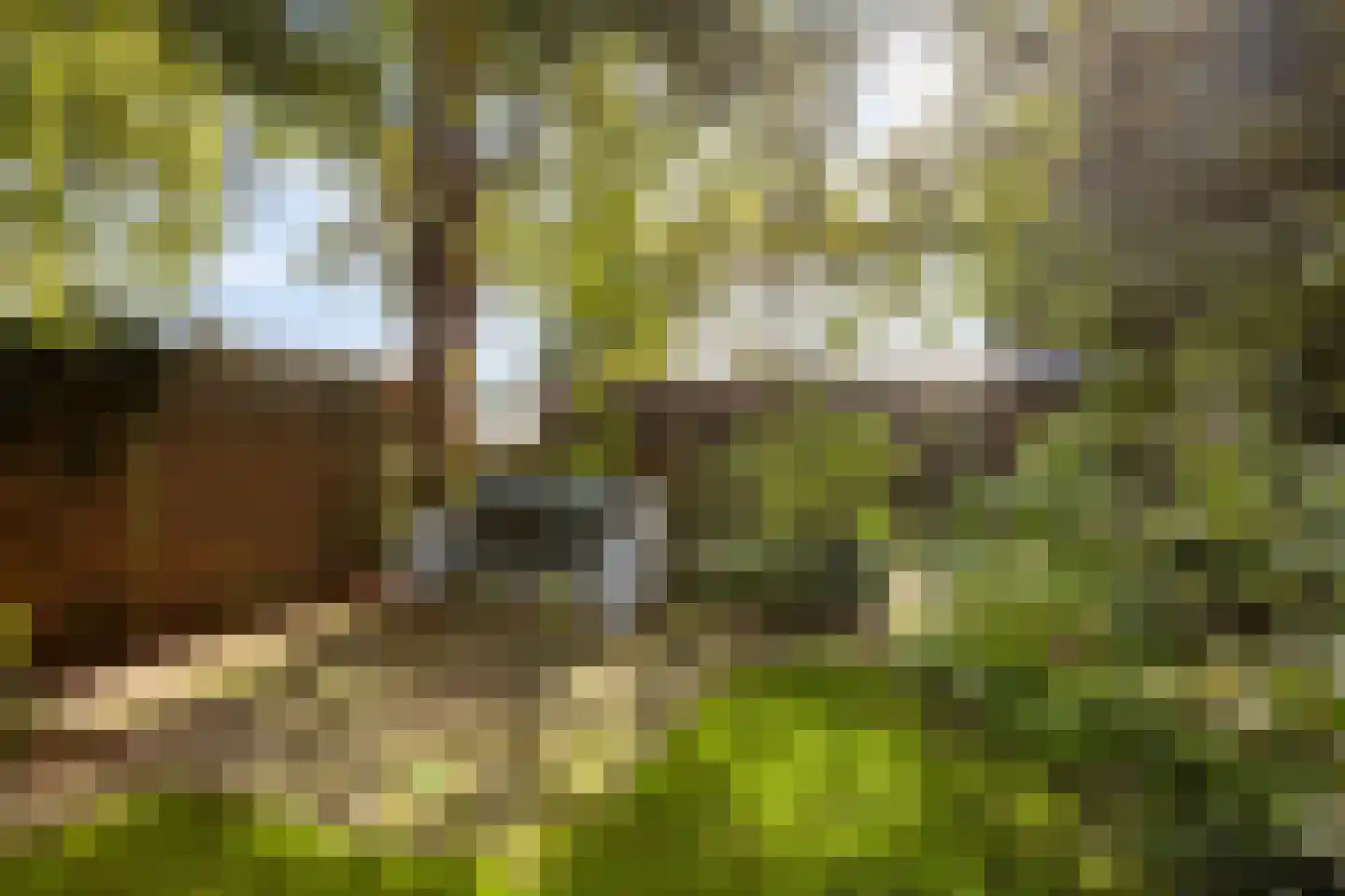 Kleis 45 Uitgeest thumbnail 25