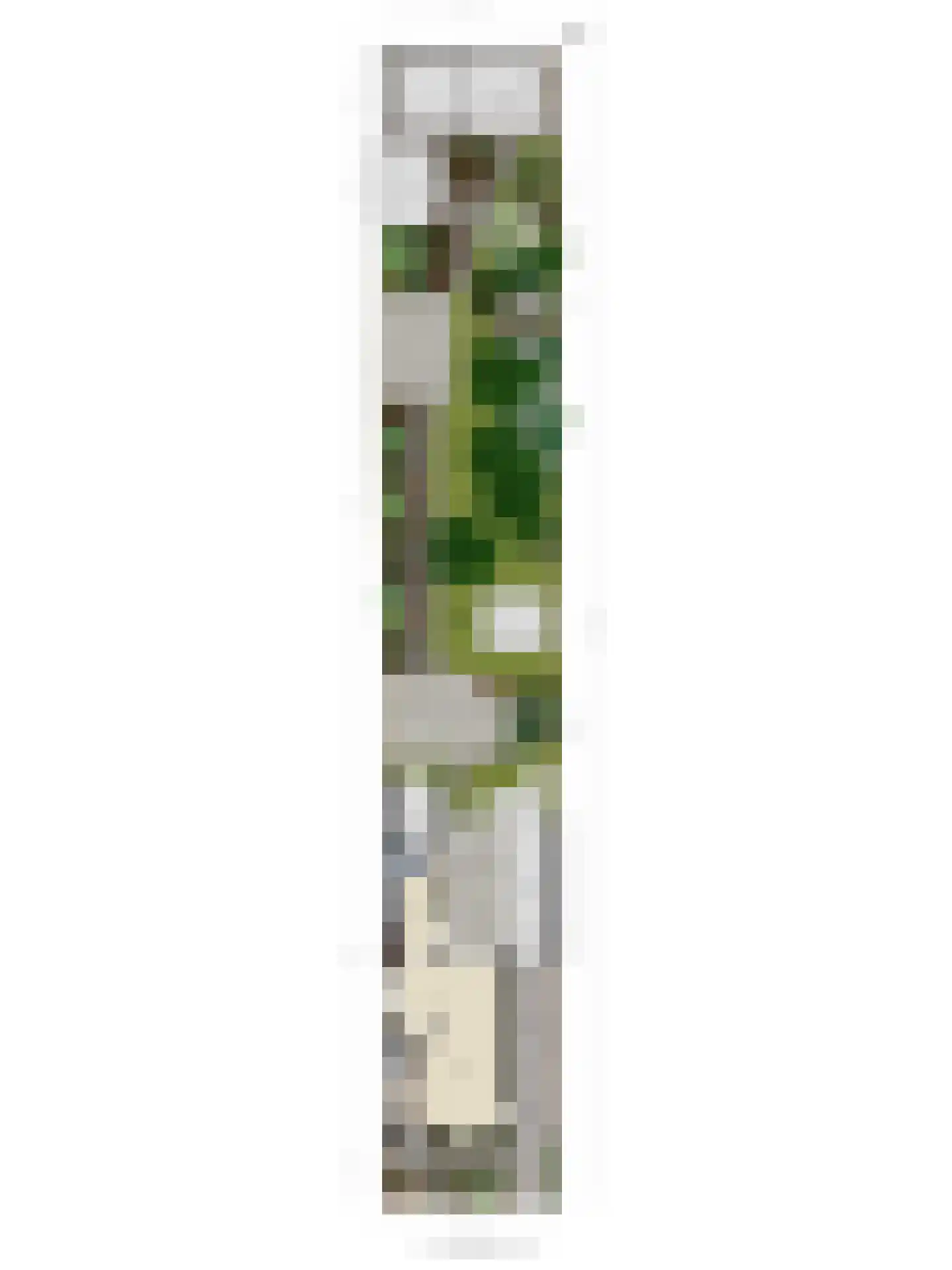 Kleis 45 Uitgeest thumbnail 34
