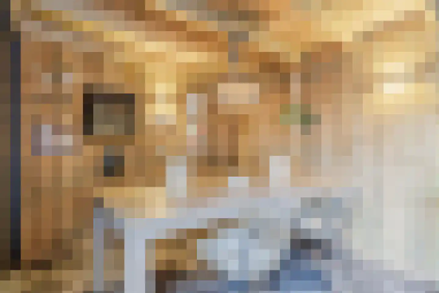 Kleis 56 Uitgeest thumbnail 43