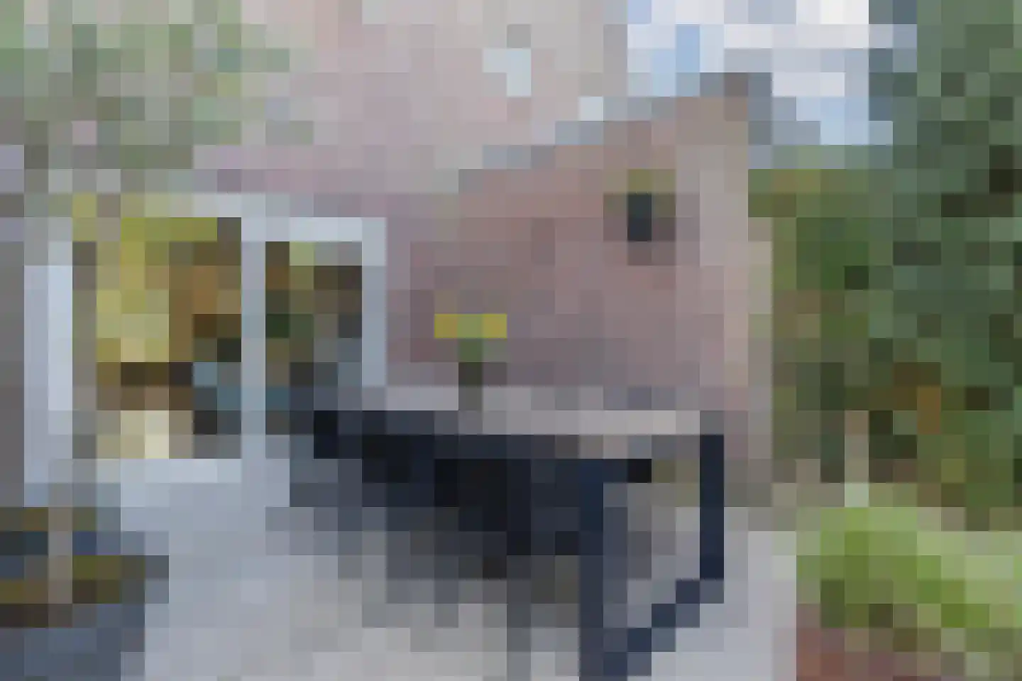 Kleis 56 Uitgeest thumbnail 48