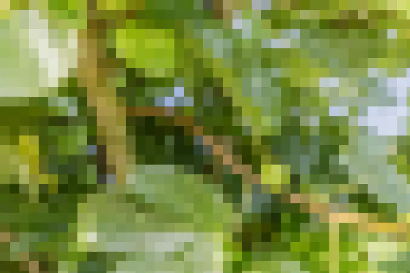 Kleis 56 Uitgeest thumbnail 53