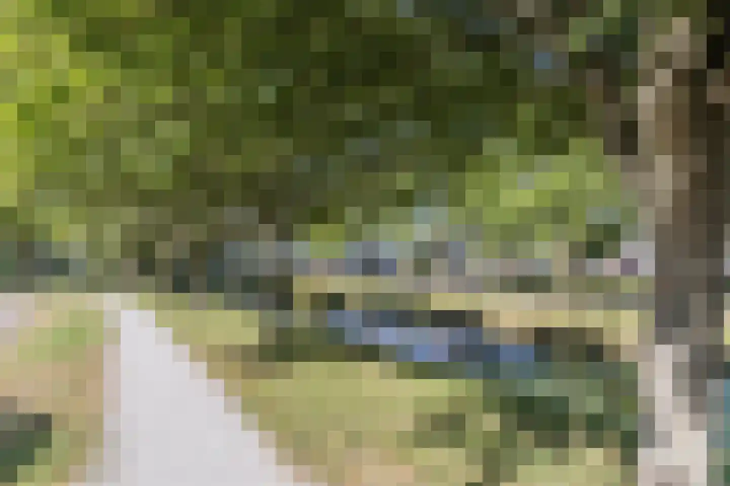 Kleis 56 Uitgeest thumbnail 55