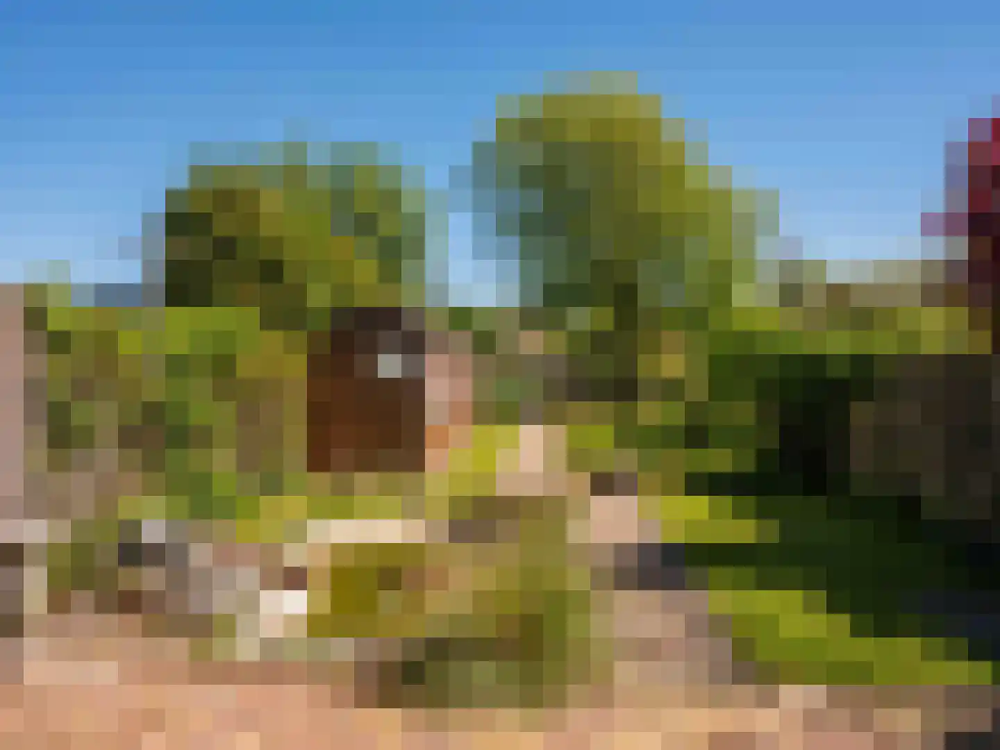 Kleis 61 Uitgeest thumbnail 30