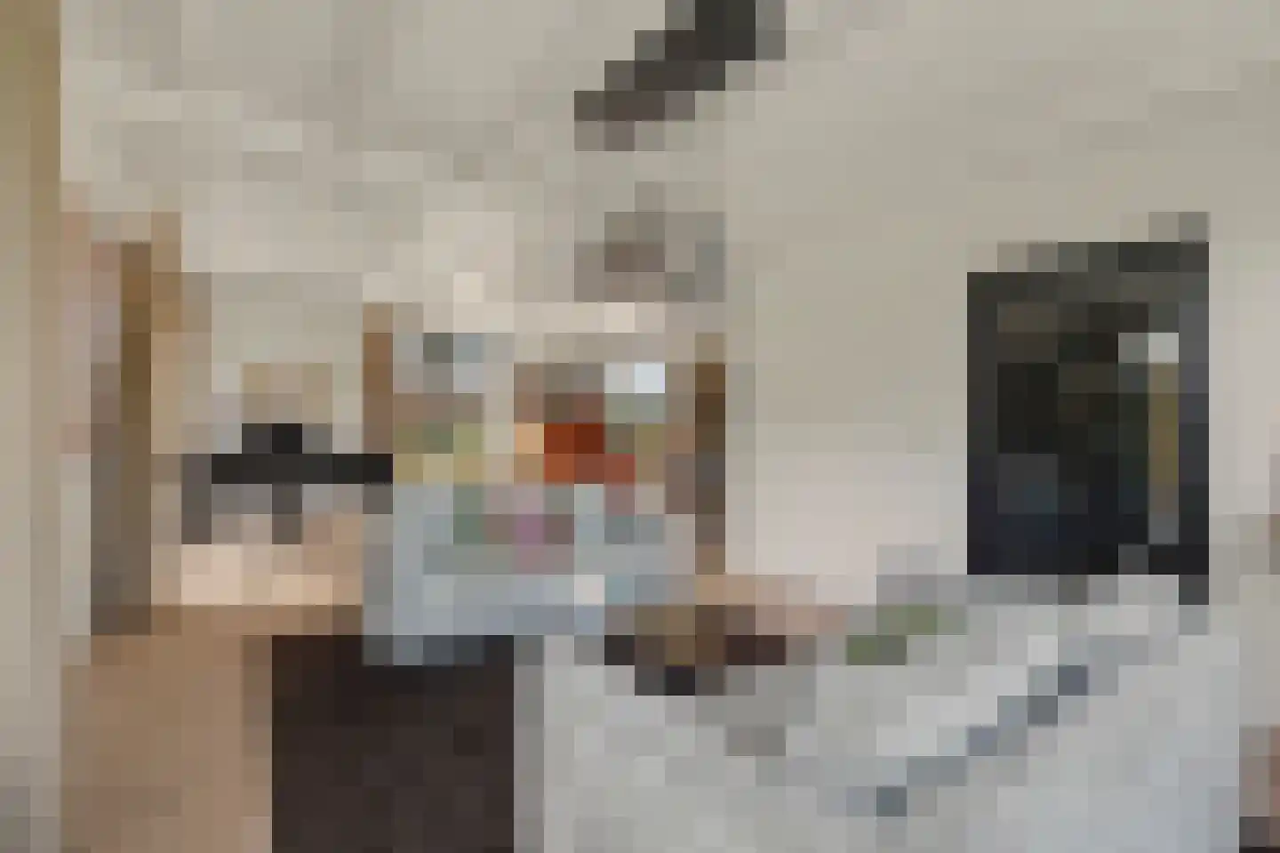 Kleistraat 2 b Chaam thumbnail 18