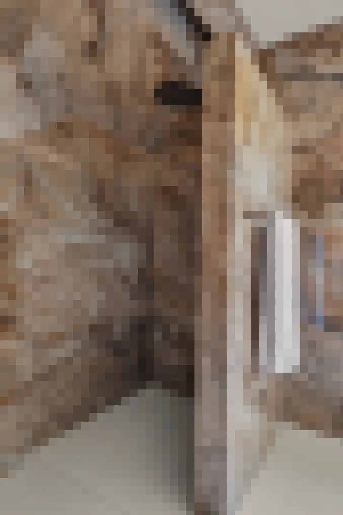 Kleistraat 2 b Chaam thumbnail 37