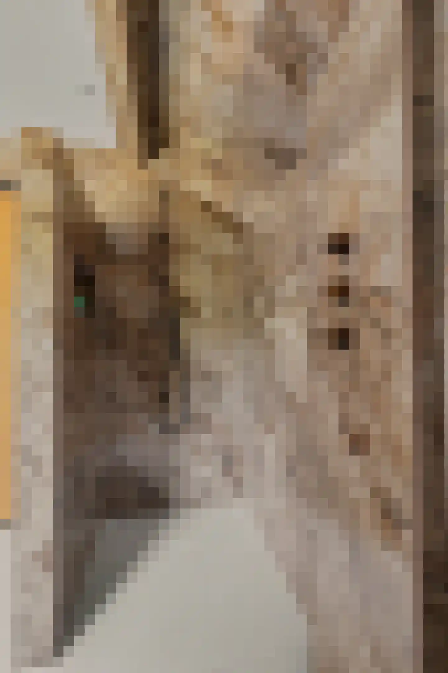 Kleistraat 2 b Chaam thumbnail 38