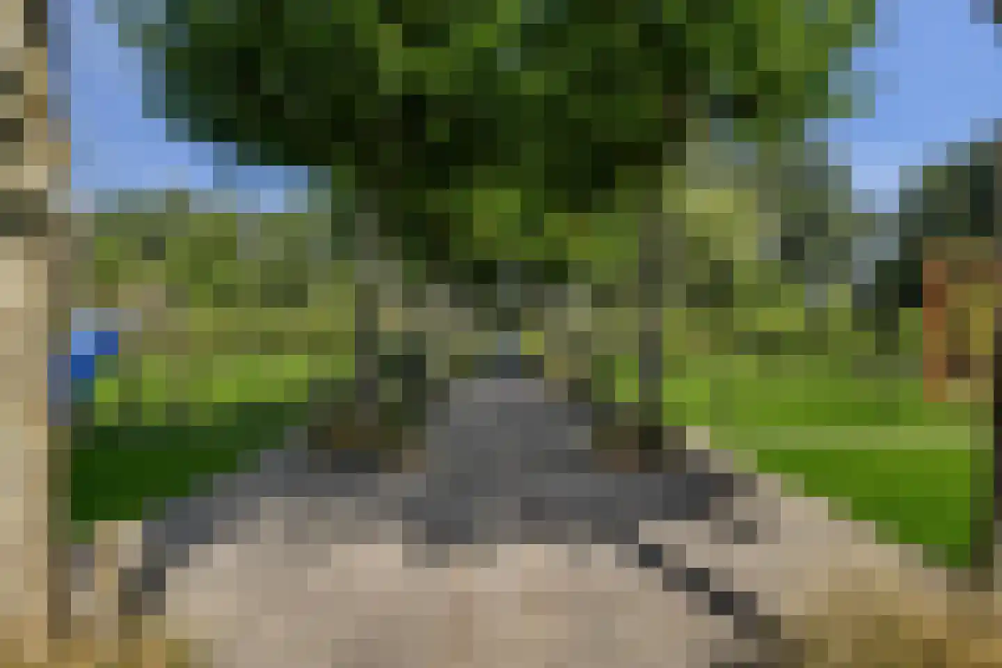 Kleistraat 2 b Chaam thumbnail 64