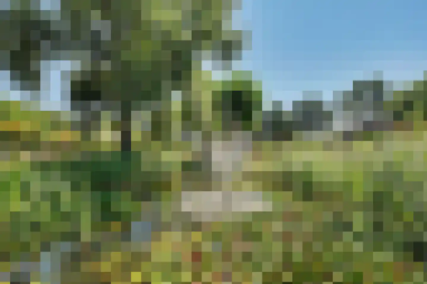 Kleistraat 2 b Chaam thumbnail 8