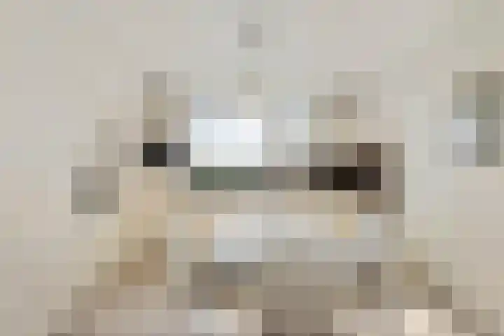 Kleistraat 3 Chaam thumbnail 10