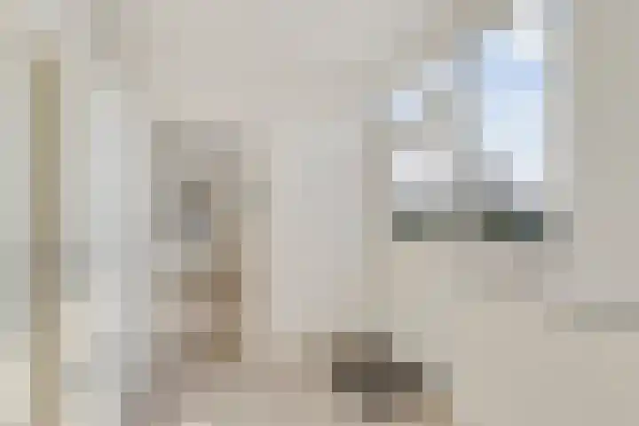 Kleistraat 3 Chaam thumbnail 15