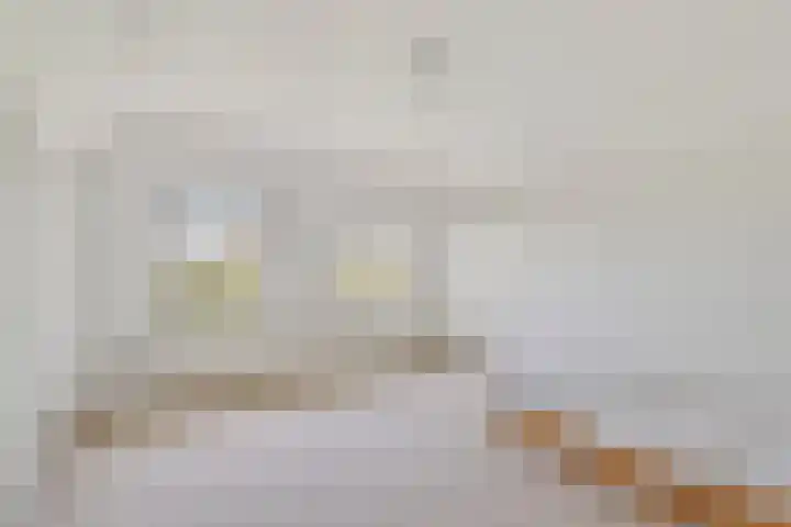 Kleistraat 3 Chaam thumbnail 17