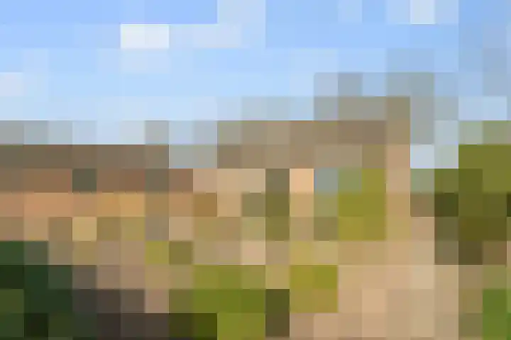 Kleistraat 3 Chaam thumbnail 26
