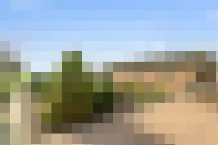 Kleistraat 3 Chaam thumbnail 27