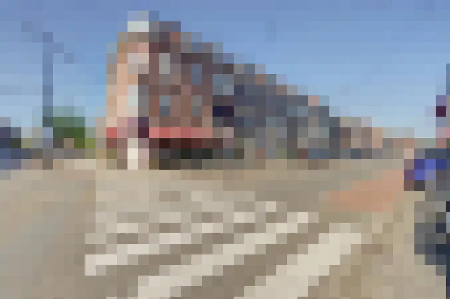 Kleiweg 12 B Rotterdam thumbnail 21