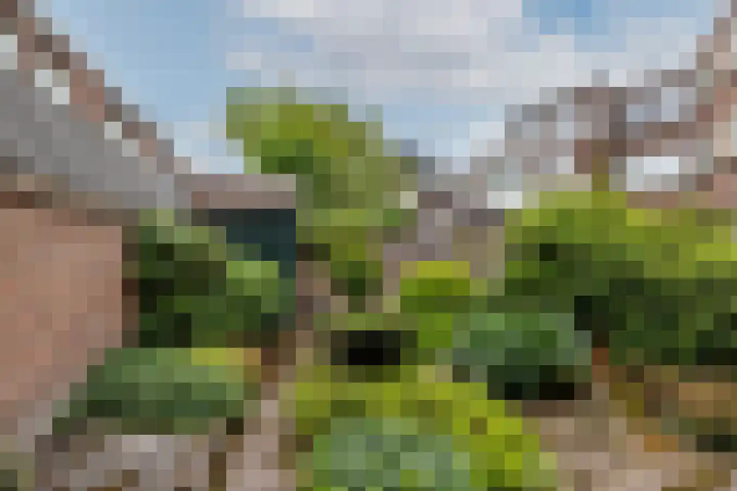 Kleiweg 137 Rotterdam thumbnail 35
