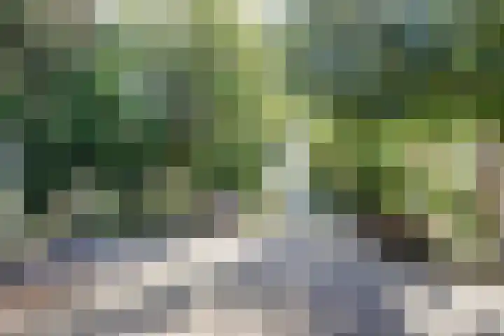 Kleiweg 16 Anna Paulowna thumbnail 37