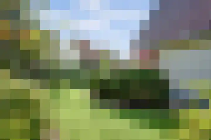 Kleiweg 16 Anna Paulowna thumbnail 38