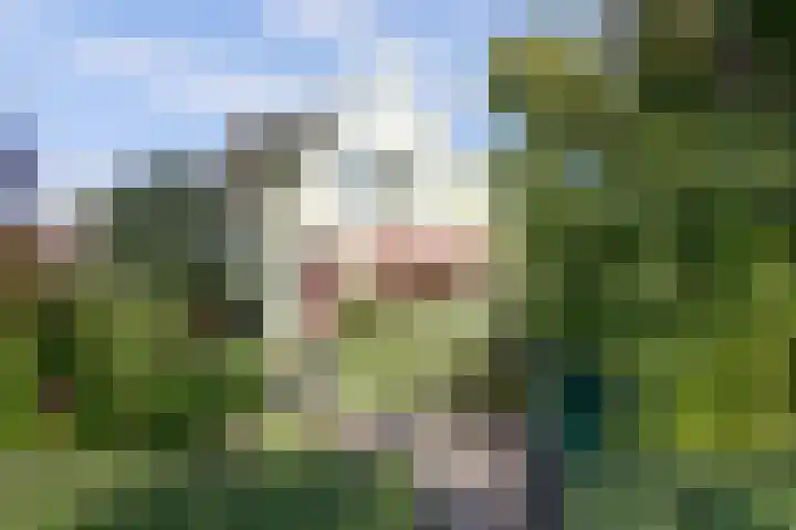 Kleiweg 16 Anna Paulowna thumbnail 4