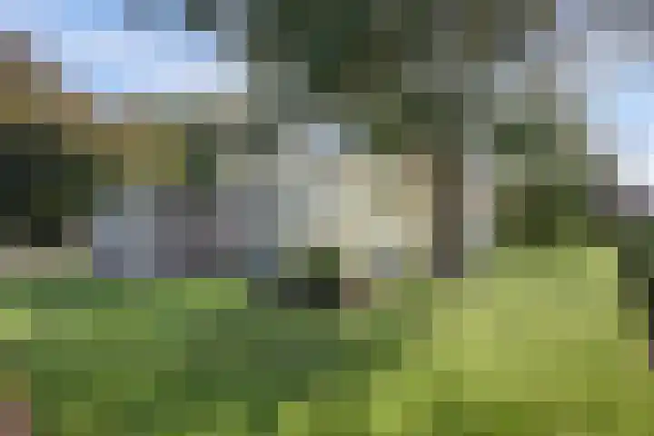 Kleiweg 16 Anna Paulowna thumbnail 41